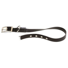 Ferplast Evolution CF25 Collier pour Chien Noir 37-45 cm