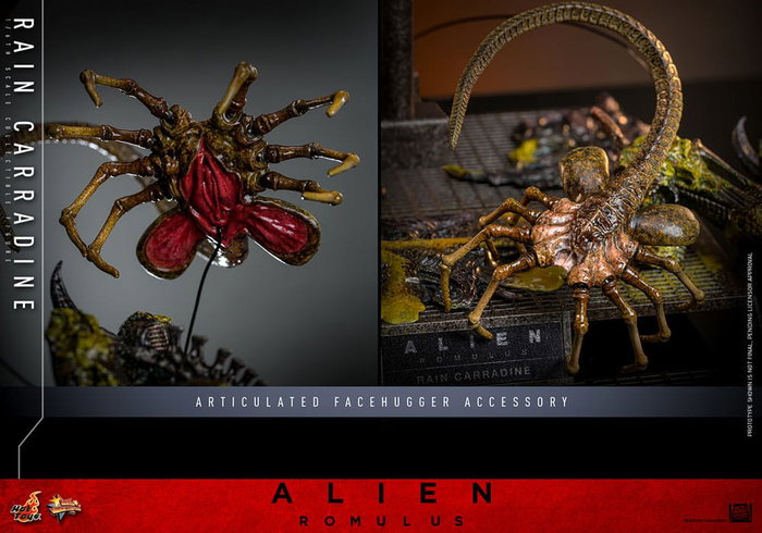 Hot Toys Alien: Romulus Movie Masterpiece 1/6 Rain Carradine 26 cm Hot Toys Alien: Romulus Movie Masterpiece 1/6 Rain Carradine 26 cm