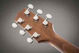 TAKAMINE GN20CE-NS