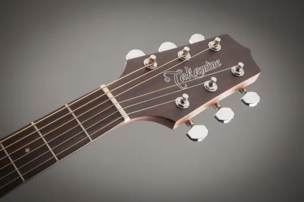 TAKAMINE GN20CE-NS TAKAMINE GN20CE-NS