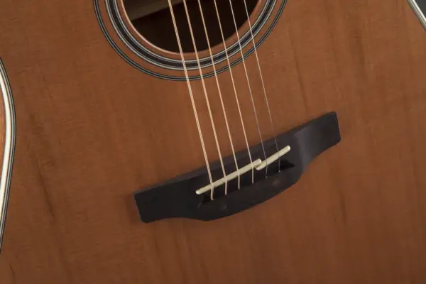 TAKAMINE GN20CE-NS TAKAMINE GN20CE-NS