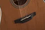 TAKAMINE GN20CE-NS