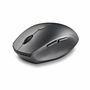 Souris NGS Noir