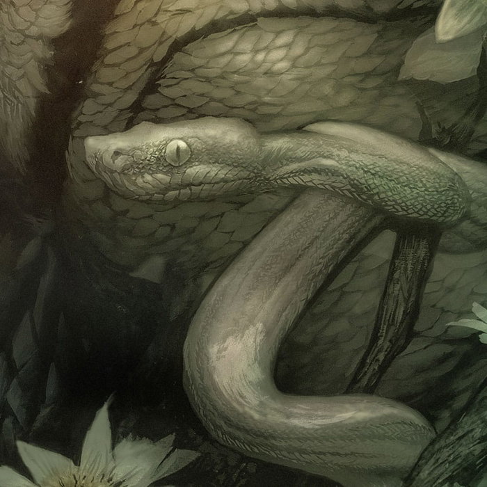 L'Étrange Créature du lac noir impression Art Print Creature from the Black Lagoon by Dan Quintana 61 x 41 cm - non encadrée L'Étrange Créature du lac noir impression Art Print Creature from the Black Lagoon by Dan Quintana 61 x 41 cm - non encadrée