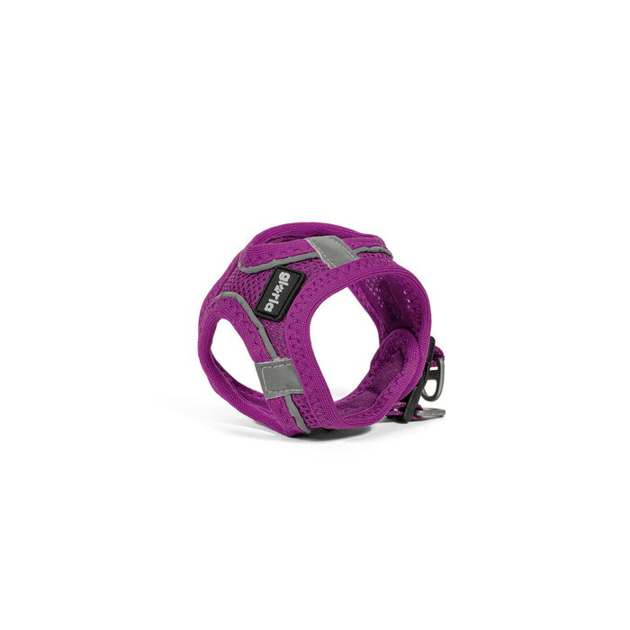 Harnais pour Chien Gloria Trek Star 27-28 cm 31-34,6 cm Violet XS Harnais pour Chien Gloria Trek Star 27-28 cm 31-34,6 cm Violet XS