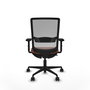 PIQUERAS Y CRESPO Chaise Haches Synchrone/Traslack Marron et Gris avec Accoudoirs 2D