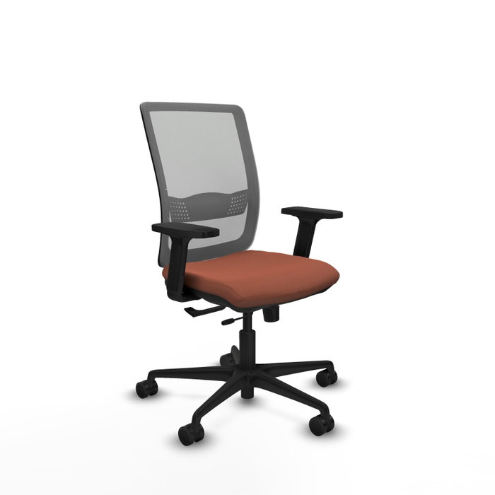 PIQUERAS Y CRESPO Chaise Haches Synchrone/Traslack Marron et Gris avec Accoudoirs 2D PIQUERAS Y CRESPO Chaise Haches Synchrone/Traslack Marron et Gris avec Accoudoirs 2D