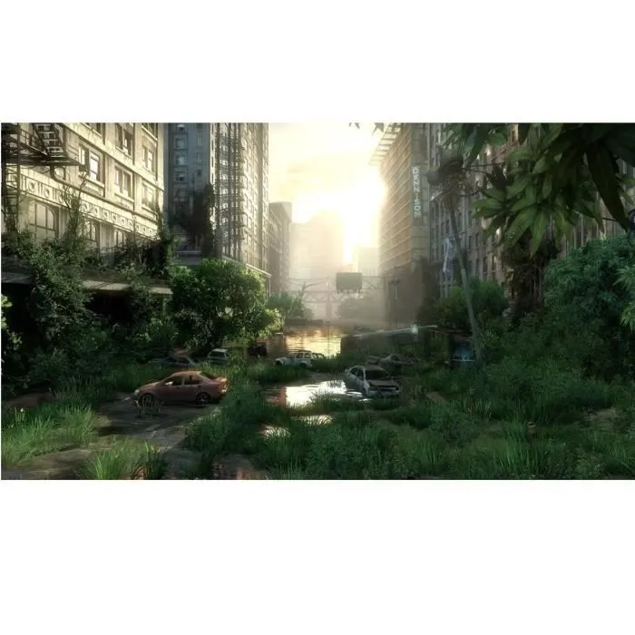 Sony The Last of Us Remastered - PlayStation Hits - Jeu PS4 - Version Française