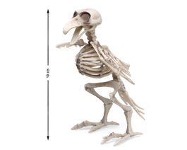 Decor Halloween - Esqueleto Pajaro - Squelette d'oiseau Halloween décoratif à suspendre - Blanc - 190 x 12 cm
