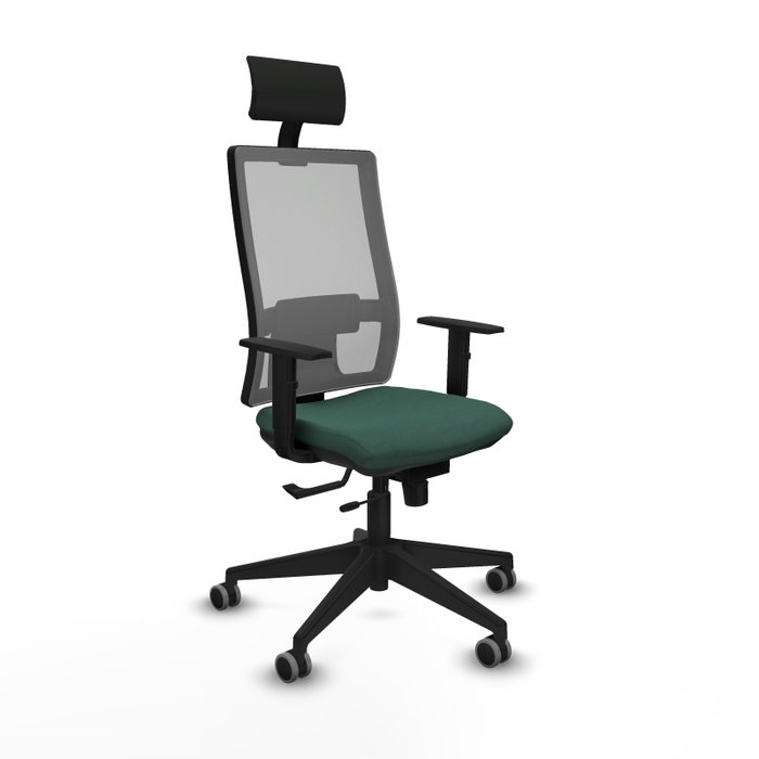 Piqueras y Crespo Chaise de Bureau 1D066G1 Vert Bouteille et Gris Piqueras y Crespo Chaise de Bureau 1D066G1 Vert Bouteille et Gris