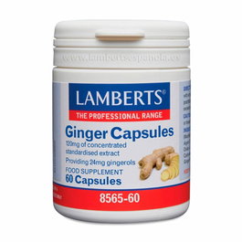 LAMBERTS GINGER Jengibre 60 capsules