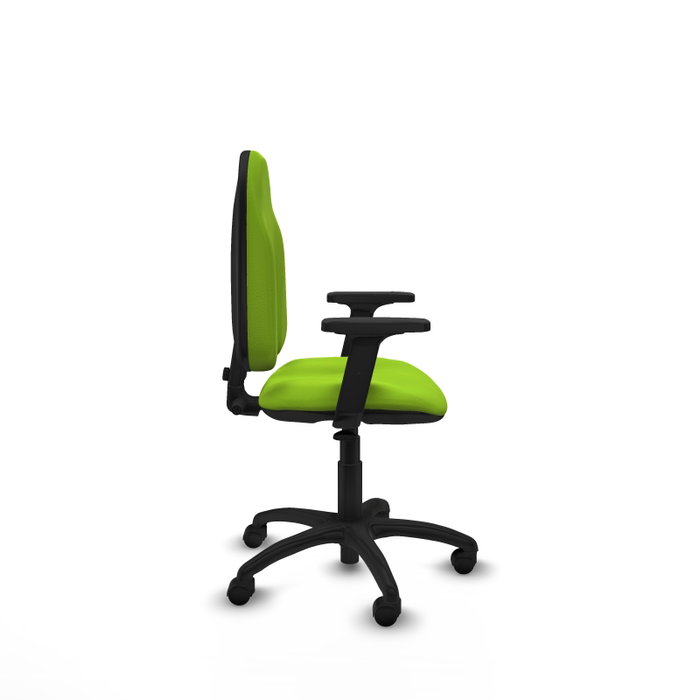 PIQUERAS Y CRESPO Chaise de bureau Algarra simili cuir pistache avec mécanisme de contact permanent PIQUERAS Y CRESPO Chaise de bureau Algarra simili cuir pistache avec mécanisme de contact permanent