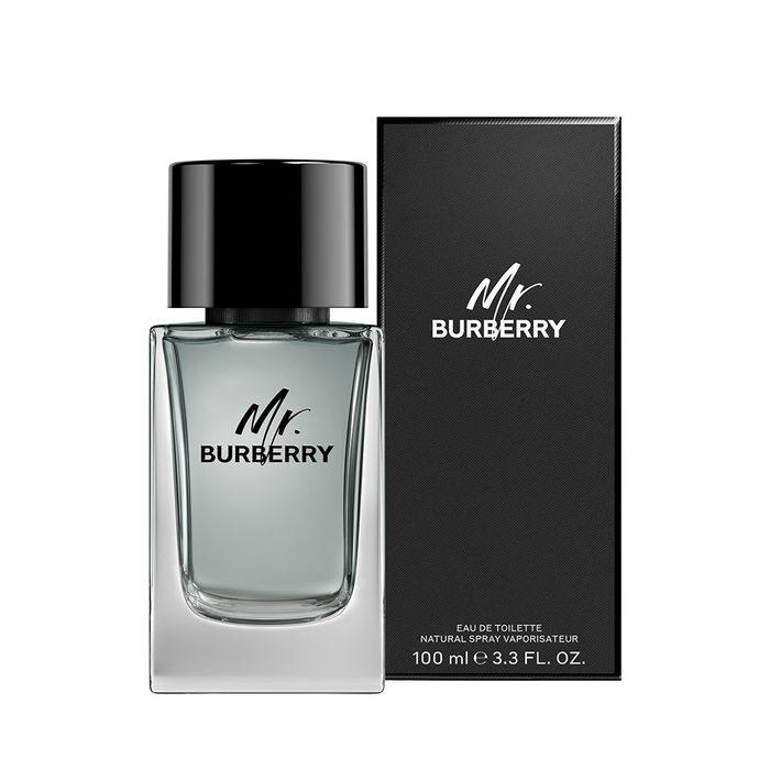 Burberry MR BURBERRY Eau de Toilette Vaporisateur 100 ml Burberry MR BURBERRY Eau de Toilette Vaporisateur 100 ml