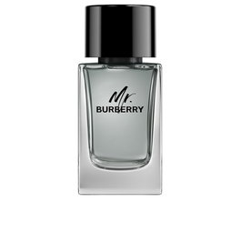 Burberry MR BURBERRY Eau de Toilette Vaporisateur 100 ml