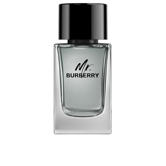 Burberry MR BURBERRY Eau de Toilette Vaporisateur 100 ml Burberry MR BURBERRY Eau de Toilette Vaporisateur 100 ml