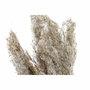 Plante décorative DKD Home Decor PVC Plumes Naturel 35 x 25 x 55 cm (2 Unités)