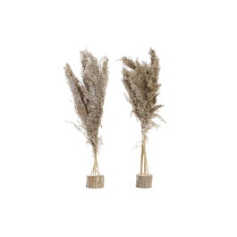 Plante décorative DKD Home Decor PVC Plumes Naturel 35 x 25 x 55 cm (2 Unités)