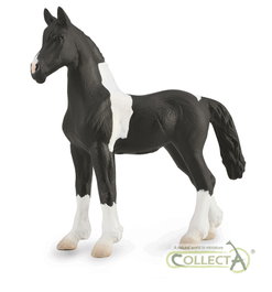 COLLECTA Potro Barock Pinto - M