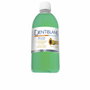 Dentiblanc Bain de bouche sans alcool Menthe 500 ml