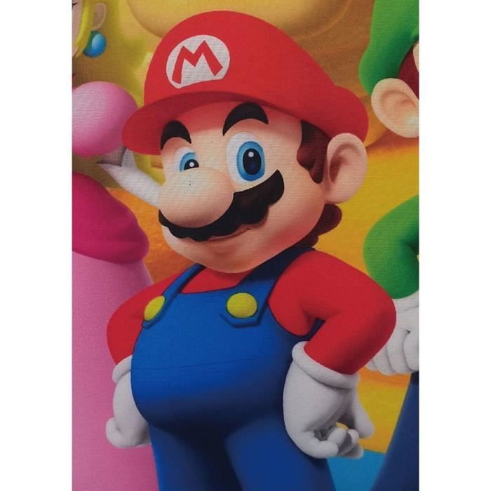 Mario Bros Coussin Carré Double Face Mario et ses amis, Multicouleur