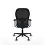 Piqueras y Crespo Chaise de Bureau Jorquera 3D036G0 Bleu ciel
