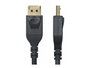 StarTech.com Mini DisplayPort vers DisplayPort 1.4 Cable 8K 60Hz HBR3 3.1m