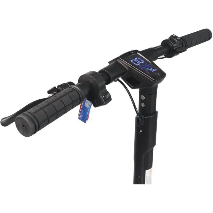 Dualtron DOLPHIN - Trottinette électrique adulte, moteur 450W, pneus 9 pouces, autonomie 30 km, pour trajets urbains