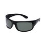 Lunettes de soleil Homme Polaroid PLD 07886