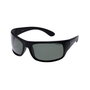 Lunettes de soleil Homme Polaroid PLD 07886
