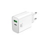 Ewent EW1325 Chargeur Rapide USB-C et QC3.0 30W Power Delivery pour iPhone 15/14 et Android
