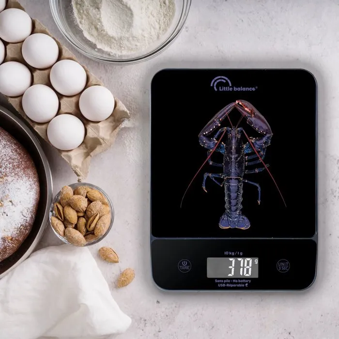 Little Balance Happy Genius 10 Balance de cuisine 8710 USB rechargeable sans piles, écran XXL rétroéclairé, plateau 180 * 180 mm, bleu Homard Little Balance Happy Genius 10 Balance de cuisine 8710 USB rechargeable sans piles, écran XXL rétroéclairé, plateau 180 * 180 mm, bleu Homard