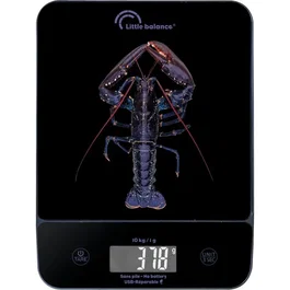 Little Balance Happy Genius 10 Blue Homard