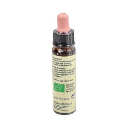 PLANTIS WALNUT n° 33 Fleurs de Bach 10 ml