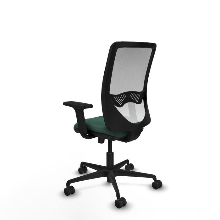 PIQUERAS Y CRESPO Chaise Zulema Synchro Vert foncé et Blanc PIQUERAS Y CRESPO Chaise Zulema Synchro Vert foncé et Blanc