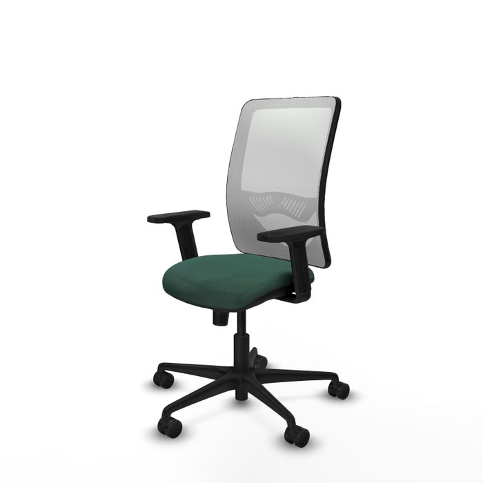 PIQUERAS Y CRESPO Chaise Zulema Synchro Vert foncé et Blanc PIQUERAS Y CRESPO Chaise Zulema Synchro Vert foncé et Blanc