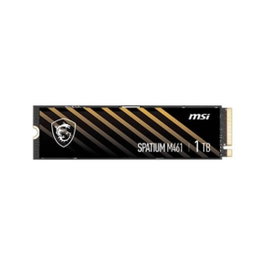 MSI SPATIUM M461 SSD Interne M.2 1 To PCIe Gen4 4.0 - Disque Dur Solide