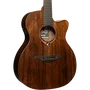LAG Guitare Acoustique-Électrique Auditorium Sauvage Cutaway A/E