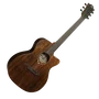 LAG Guitare Acoustique-Électrique Auditorium Sauvage Cutaway A/E