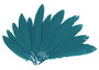 Innspiro Plumes indio bleu, 60 unités