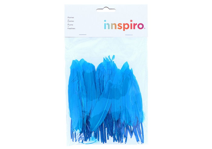 Innspiro Plumes indio bleu, 60 unités