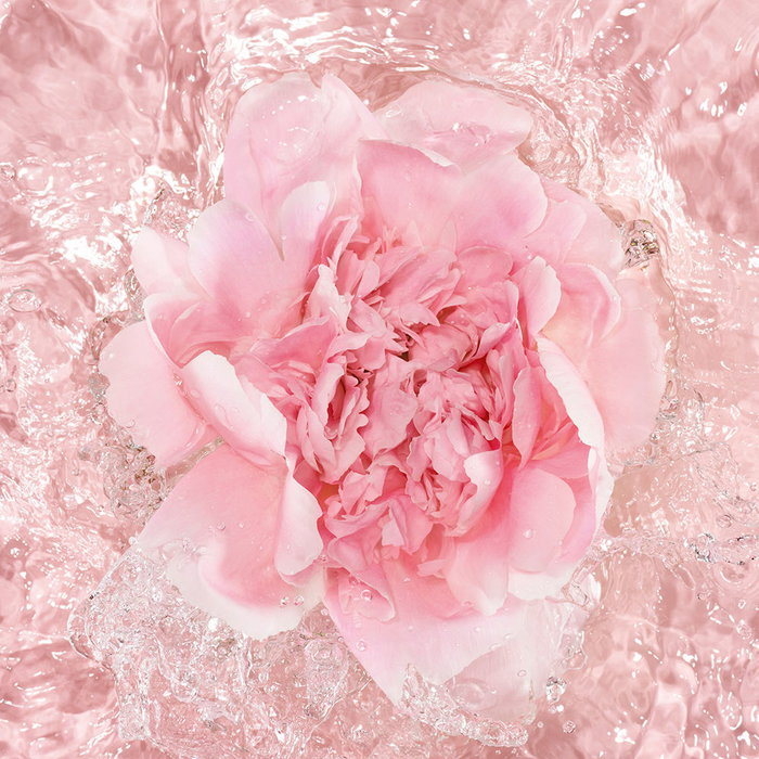 Guerlain La Petite Robe Noire L'Eau Rose Eau de Parfum Vapo 100ml Sans Alcool