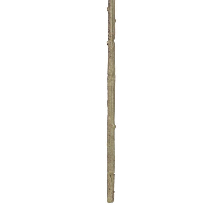 Plante décorative Polyester 20 X 28 X 86 CM Plante décorative Polyester 20 X 28 X 86 CM