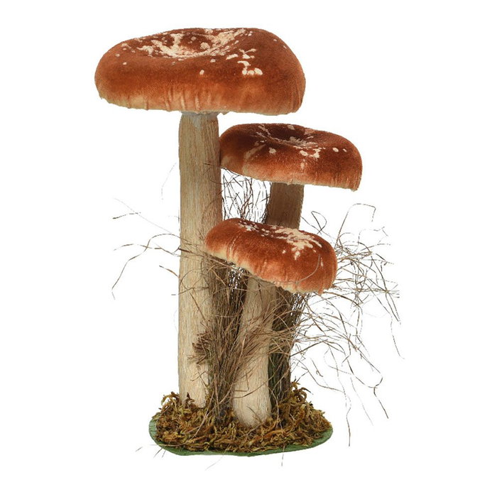 Decoris Lot de 3 Champignons sur Mousse, 3 Modèles, 14 x 18 x 26 cm, Couleurs Assorties
