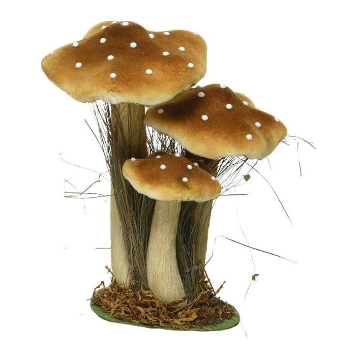 Decoris Lot de 3 Champignons sur Mousse, 3 Modèles, 14 x 18 x 26 cm, Couleurs Assorties