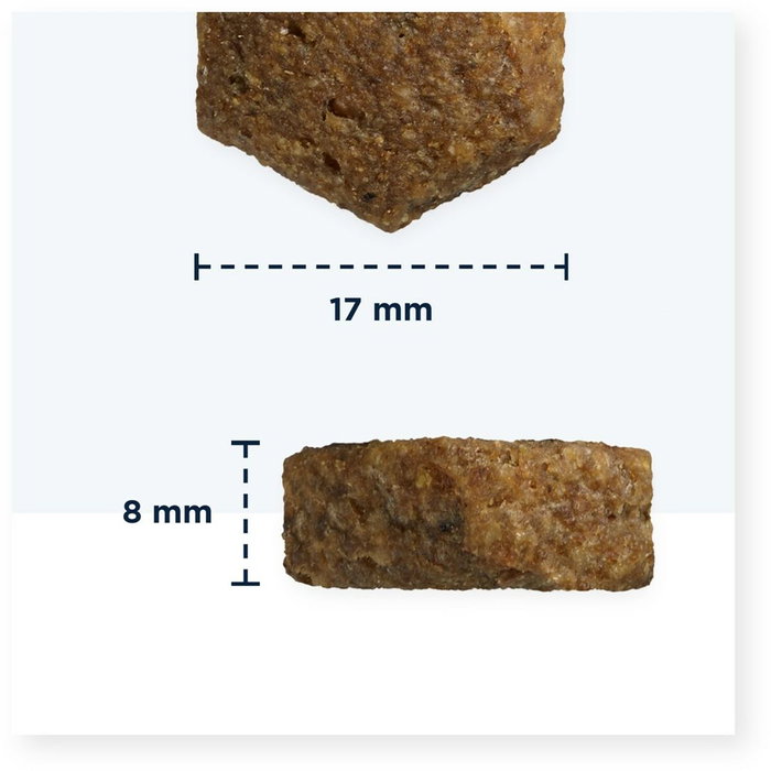 Eukanuba Senior Large & Giant Agneau et Riz 12 kg