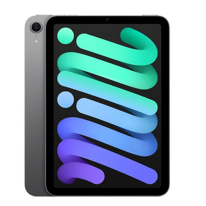 Apple iPad mini 8,3 pouces 256 Go Wi-Fi Gris Sidéral