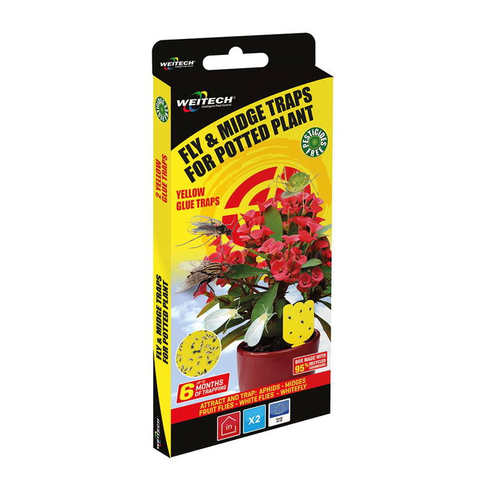 Weitech Piège spécial pour moustiques et mouches pour pots de fleurs 2 pièces Weitech Piège spécial pour moustiques et mouches pour pots de fleurs 2 pièces