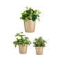 IBERGARDEN Set de 3 Maceteros Coniques en Céramique Beige