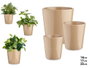 Ibergarden Lot de 3 pots coniques en céramique 14, 17, 22 cm beige