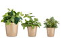 Ibergarden Lot de 3 pots coniques en céramique 14, 17, 22 cm beige